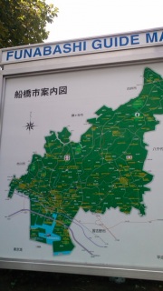 �S�̗�