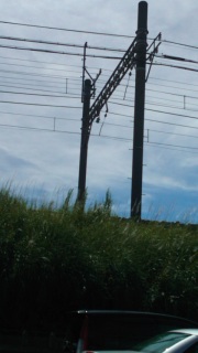 �S�̗�2
