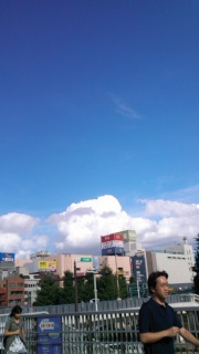 �S�̗�8