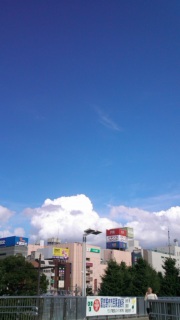 �S�̗�8