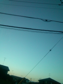 (untitled)