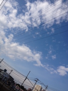 �t�悱��