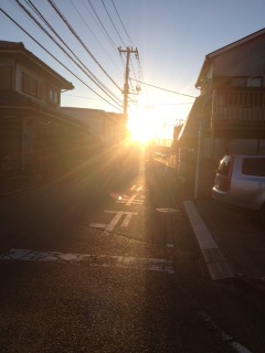 �A�蓹